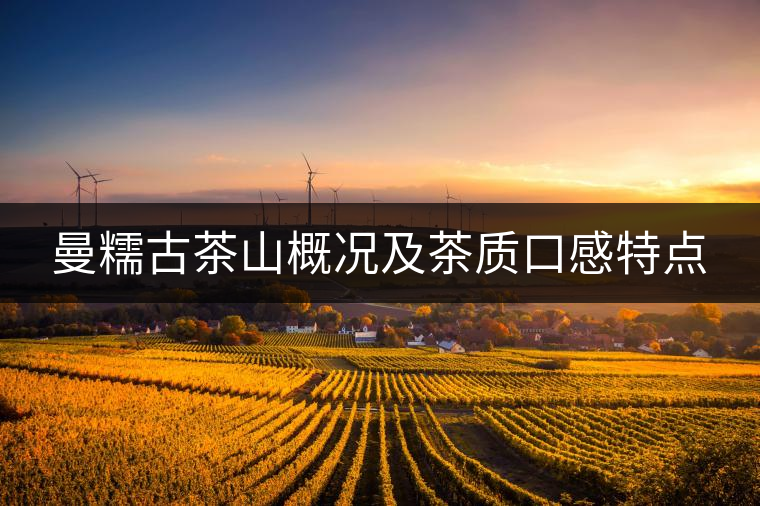 曼糯古茶山概況及茶質(zhì)口感特點 曼糯古茶山概況及茶質(zhì)口感特點