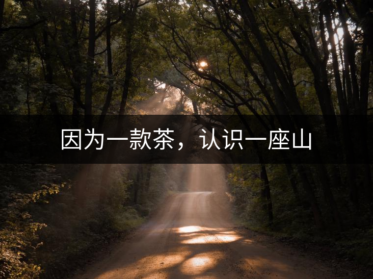 因?yàn)橐豢畈?，認(rèn)識(shí)一座山