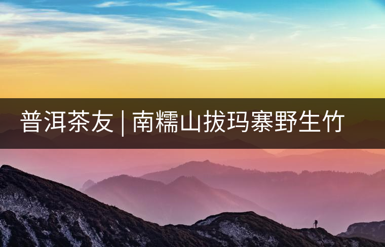 普洱茶友 | 南糯山拔瑪寨野生竹蓀給看過？