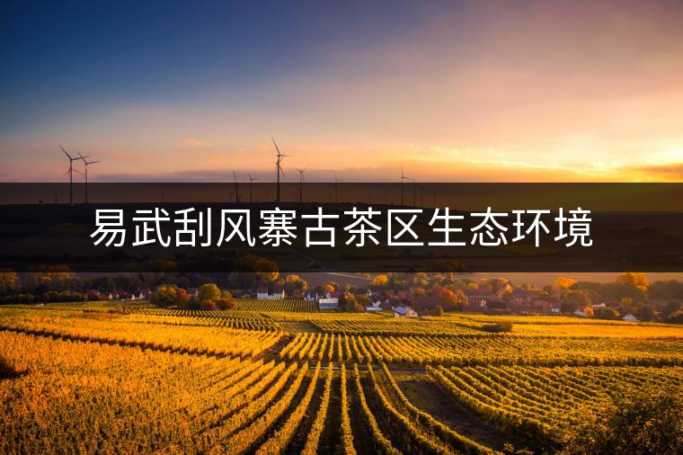 易武刮風寨古茶區(qū)生態(tài)環(huán)境 易武刮風寨古茶區(qū)生態(tài)環(huán)境