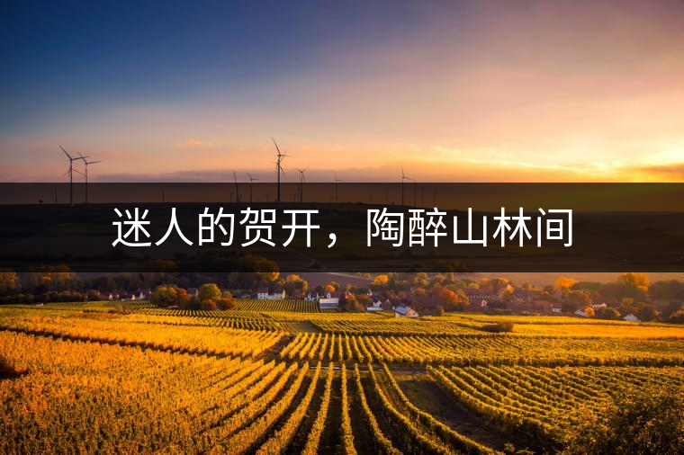 迷人的賀開，陶醉山林間