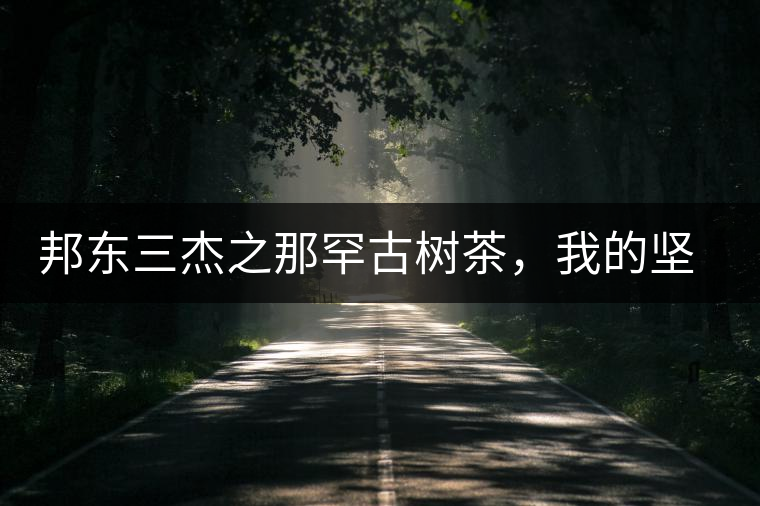 邦東三杰之那罕古樹茶，我的堅持