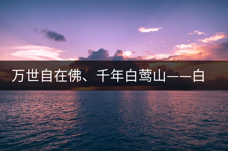 萬世自在佛、千年白鶯山——白鶯山古樹茶特點