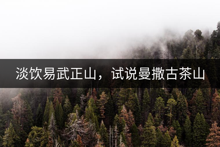 淡飲易武正山，試說曼撒古茶山