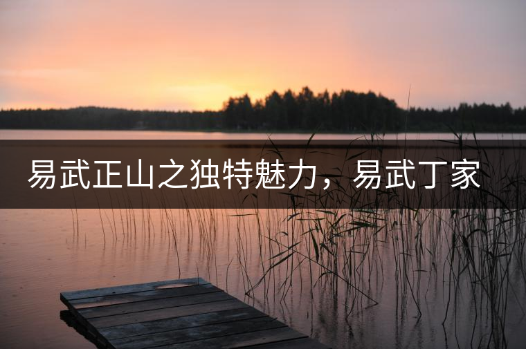 易武正山之獨特魅力，易武丁家寨介紹品鑒