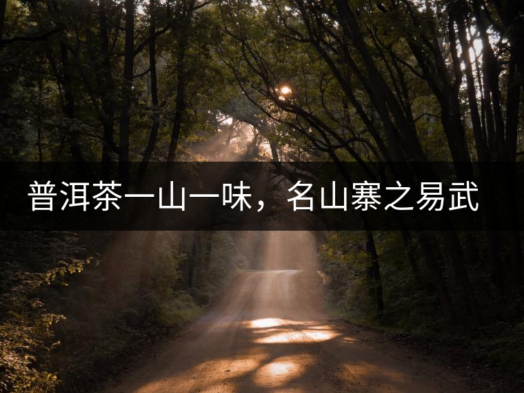 普洱茶一山一味，名山寨之易武彎弓瑤族丁家寨