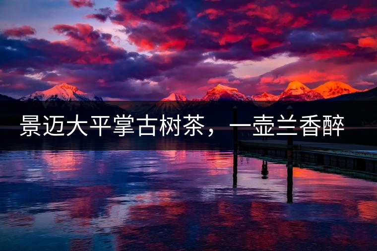 景邁大平掌古樹(shù)茶，一壺蘭香醉春秋