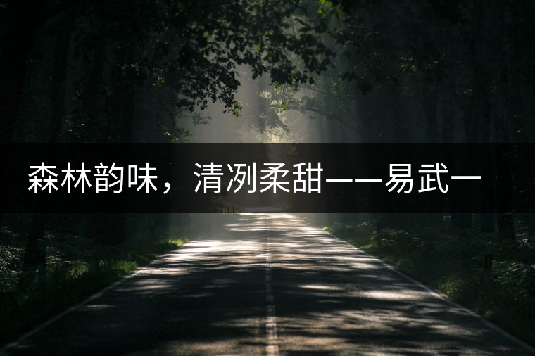 森林韻味，清冽柔甜——易武一扇磨古樹茶特點(diǎn)