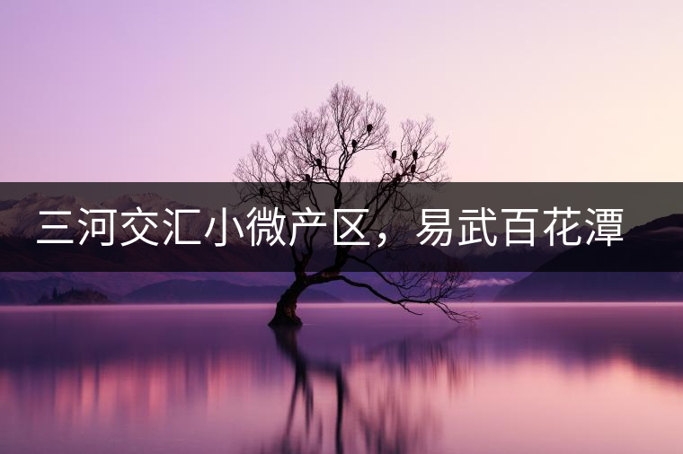 三河交匯小微產(chǎn)區(qū)，易武百花潭古茶園介紹