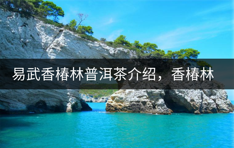 易武香椿林普洱茶介紹，香椿林古樹茶口感特點(diǎn)