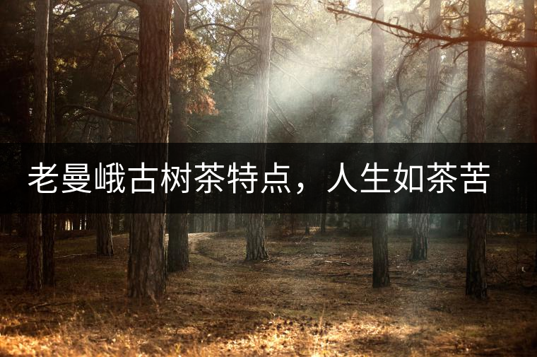 老曼峨古樹茶特點(diǎn)，人生如茶苦盡甘來