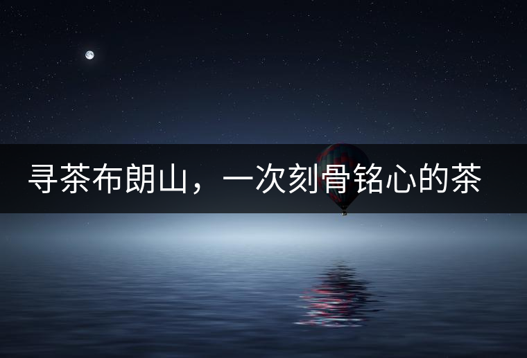 尋茶布朗山，一次刻骨銘心的茶山行