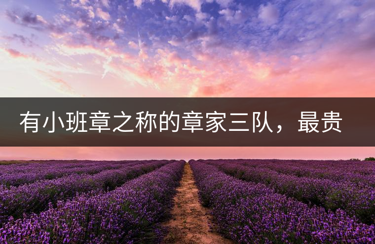 有小班章之稱的章家三隊(duì)，最貴的小樹茶