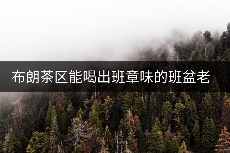 布朗茶區(qū)能喝出班章味的班盆老寨你知道嗎？