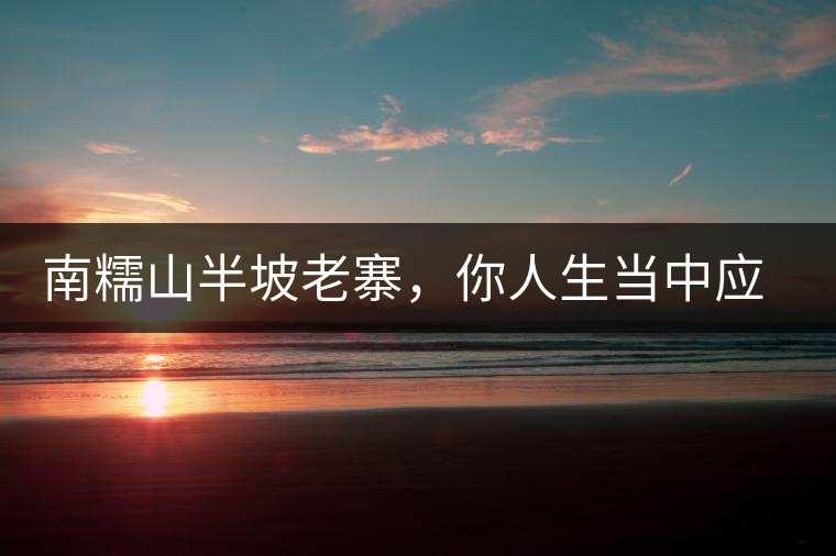 南糯山半坡老寨，你人生當中應該入手的第一片勐海味古樹純料普洱茶