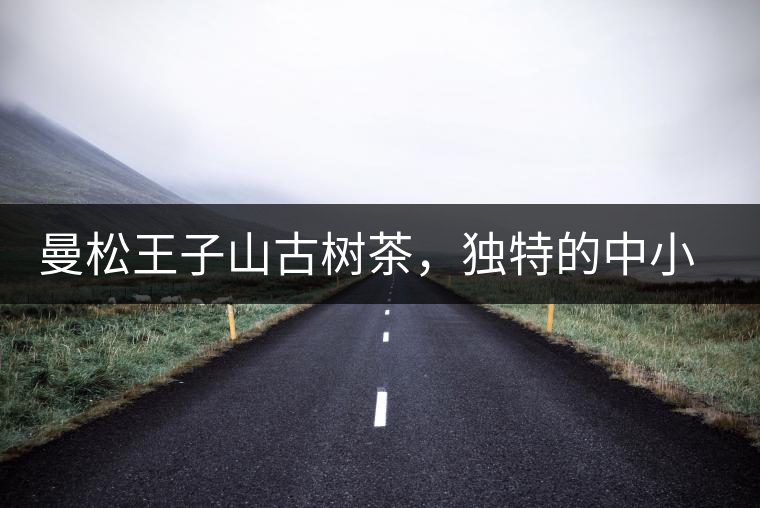 曼松王子山古樹茶，獨特的中小葉種珍品貢茶