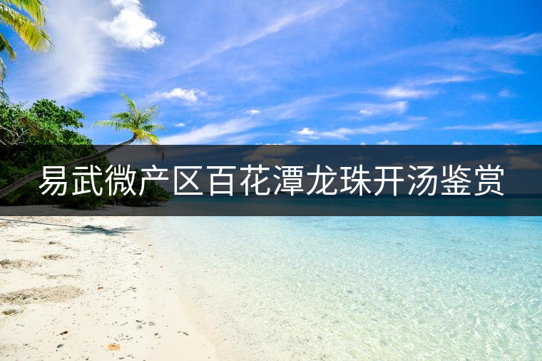 易武微產(chǎn)區(qū)百花潭龍珠開湯鑒賞 易武微產(chǎn)區(qū)百花潭龍珠開湯鑒賞