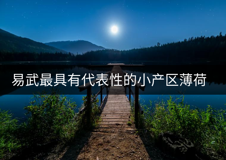 易武最具有代表性的小產(chǎn)區(qū)薄荷塘，一滴都不舍得浪費(fèi)