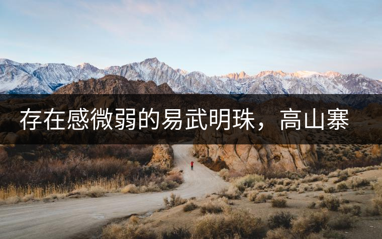 存在感微弱的易武明珠，高山寨古樹茶介紹