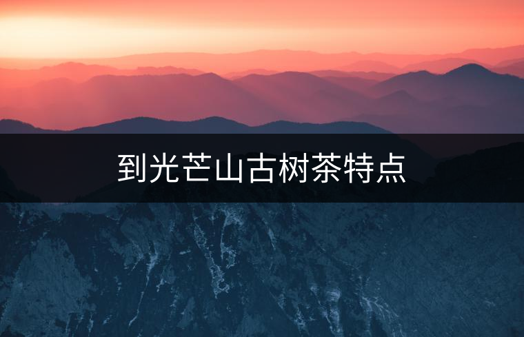 到光芒山古樹茶特點 到光芒山古樹茶特點