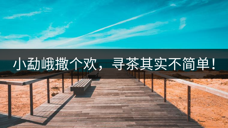 小勐峨撒個(gè)歡，尋茶其實(shí)不簡單！