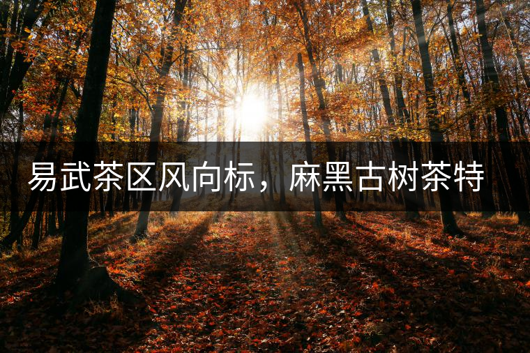 易武茶區(qū)風(fēng)向標(biāo)，麻黑古樹茶特點(diǎn)介紹