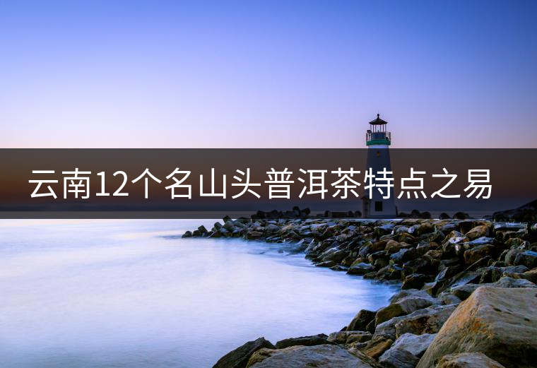 云南12個(gè)名山頭普洱茶特點(diǎn)之易武篇