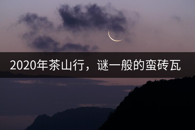 2020年茶山行，謎一般的蠻磚瓦竜古茶山