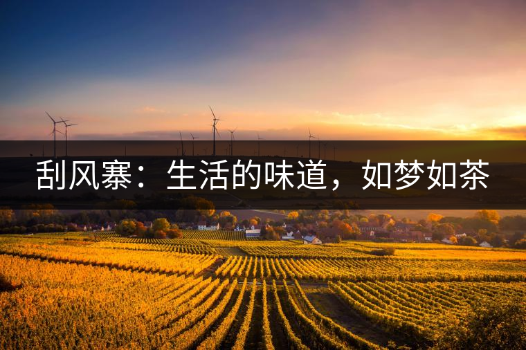 刮風(fēng)寨：生活的味道，如夢(mèng)如茶
