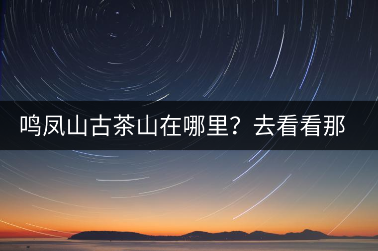 鳴鳳山古茶山在哪里？去看看那鳳凰曾經(jīng)落腳的地方