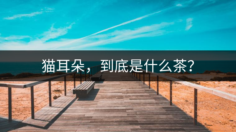 貓耳朵，到底是什么茶？