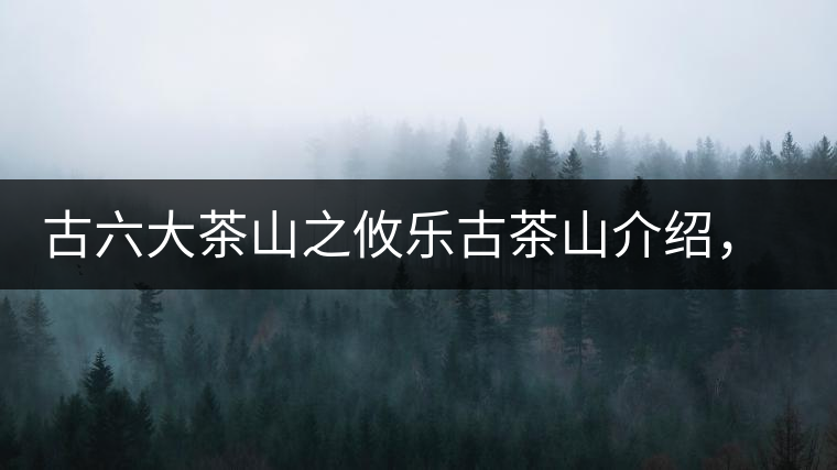 古六大茶山之攸樂古茶山介紹，攸樂古樹茶口感特點(diǎn)
