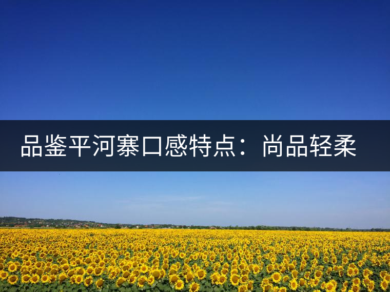 品鑒平河寨口感特點(diǎn)：尚品輕柔，清涼獨(dú)特
