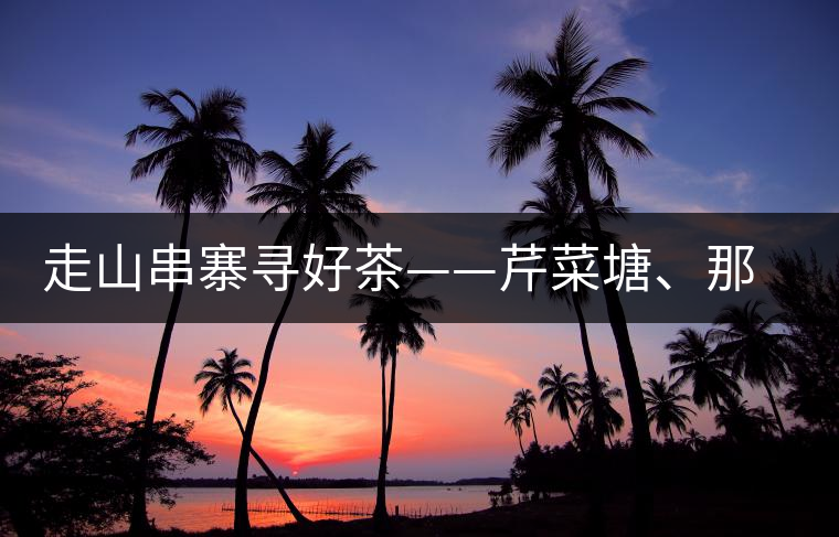 走山串寨尋好茶——芹菜塘、那罕、曼崗、昔歸