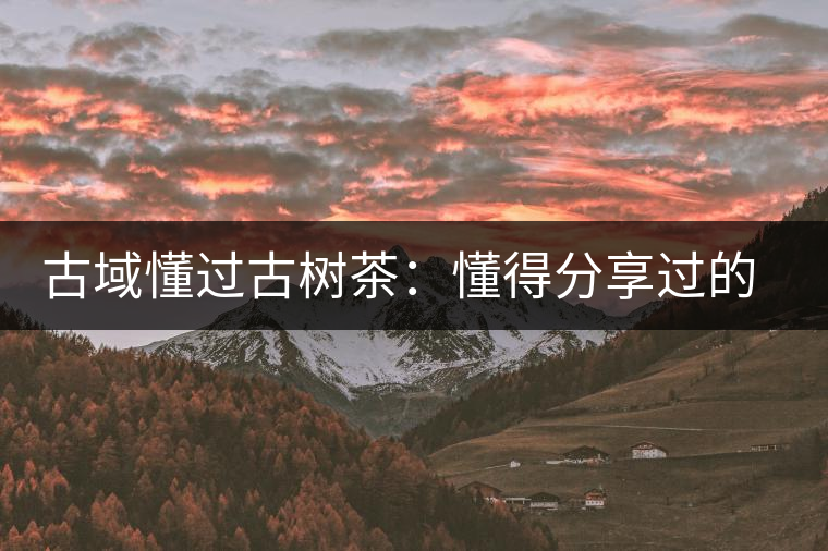 古域懂過古樹茶：懂得分享過的快樂，方為懂過