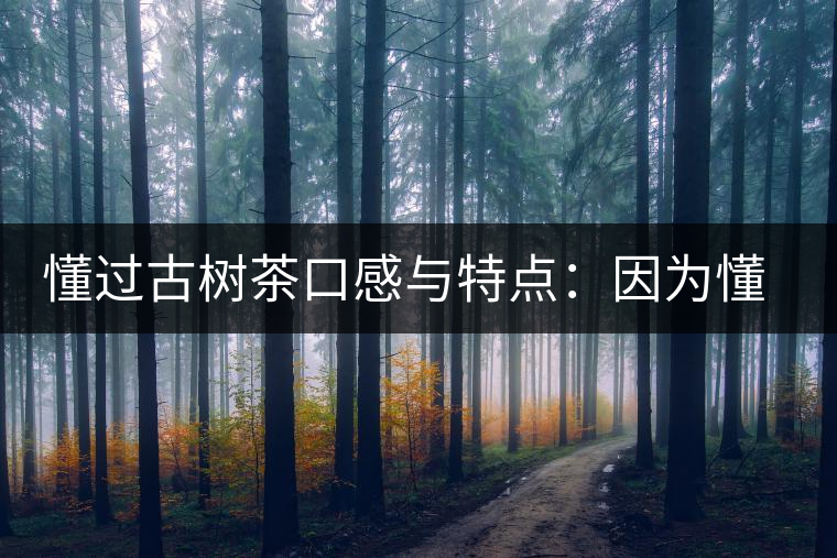 懂過(guò)古樹茶口感與特點(diǎn)：因?yàn)槎?，所以舍得用余生?lái)珍惜！
