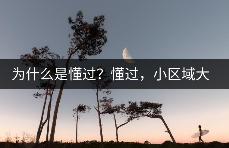 為什么是懂過？懂過，小區(qū)域大智慧