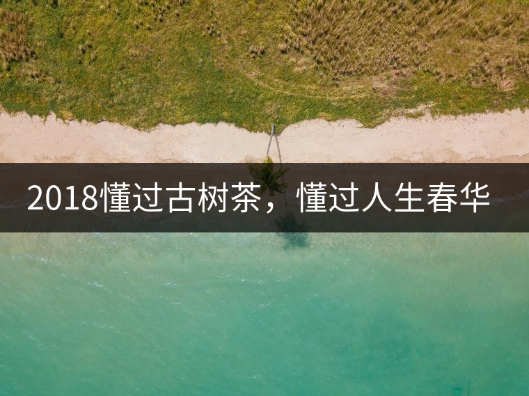 2018懂過古樹茶，懂過人生春華秋實(shí)！