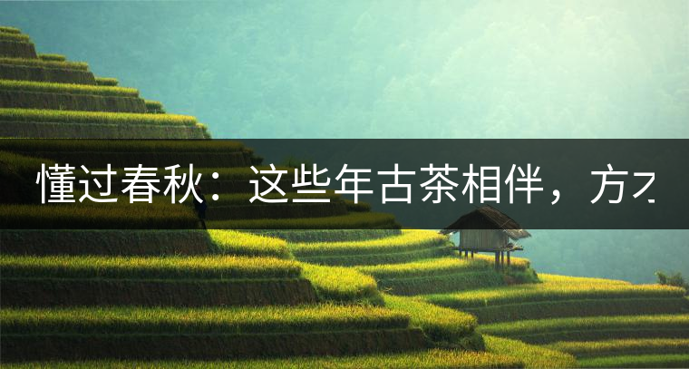 懂過春秋：這些年古茶相伴，方才懂過！