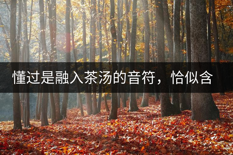 懂過是融入茶湯的音符，恰似含淚吟唱的《領(lǐng)悟》