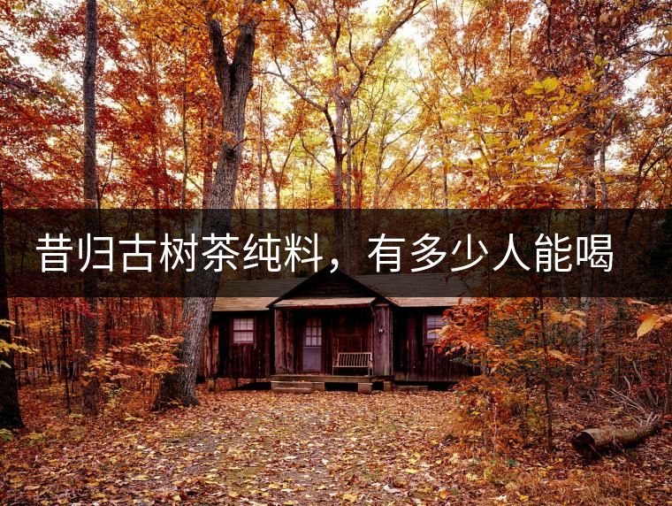 昔歸古樹(shù)茶純料，有多少人能喝到真品