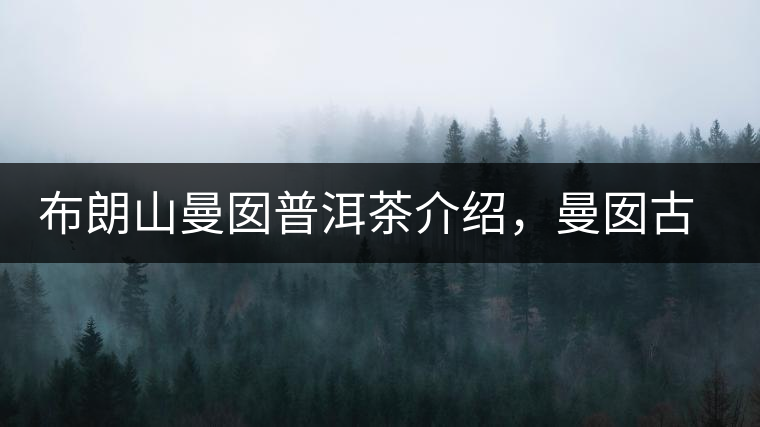 布朗山曼囡普洱茶介紹，曼囡古樹茶口感特點