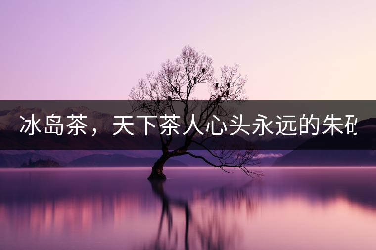 冰島茶，天下茶人心頭永遠(yuǎn)的朱砂痣！