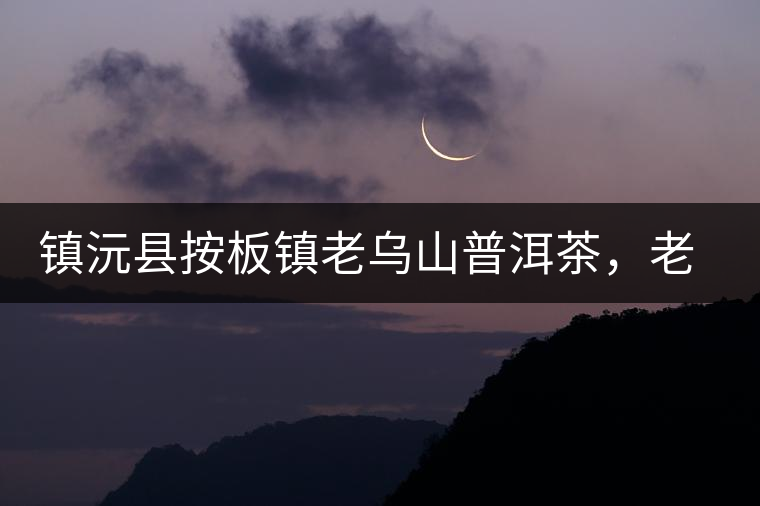 鎮(zhèn)沅縣按板鎮(zhèn)老烏山普洱茶，老烏山古樹茶口感特點