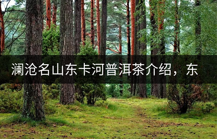 瀾滄名山東卡河普洱茶介紹，東卡河古樹茶口感特點(diǎn)