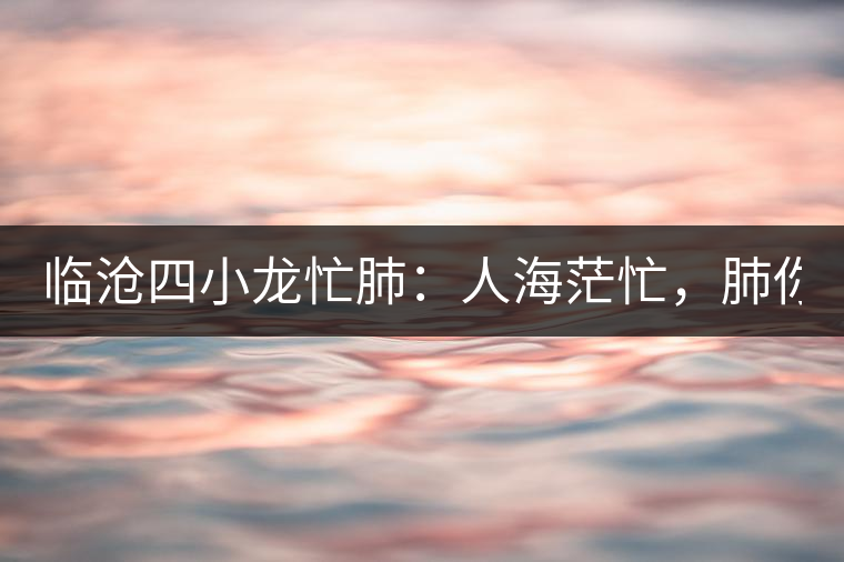 臨滄四小龍忙肺：人海茫忙，肺你莫屬！