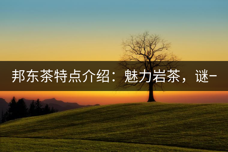 邦東茶特點介紹：魅力巖茶，謎一樣的邦東！