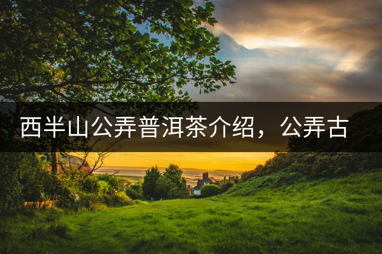 西半山公弄普洱茶介紹，公弄古樹茶口感特點(diǎn)