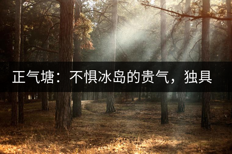 正氣塘：不懼冰島的貴氣，獨(dú)具冰島之魅力