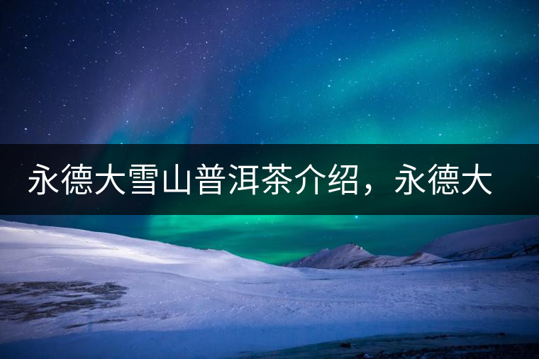 永德大雪山普洱茶介紹，永德大雪山古樹(shù)茶口感特點(diǎn)